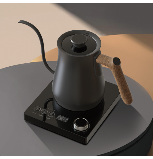 Large Capacity Heating Variable Temperature Control Gooseneck Stainless Steel Electric Coffee Kettle Large Capacity Heating Variable Temperature Control Gooseneck Stainless Steel Electric Coffee Kettle